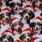 Preview: French Terry Weihnachtshunde Digitaldruck